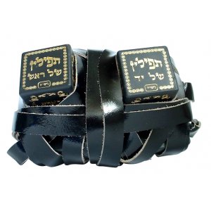 Ashkenazi Tefillin Peshutim Mehudarim