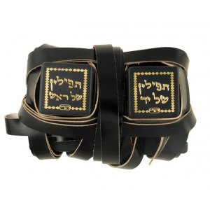 Tefillin Gassot Ashkenazi Miksheh Level B